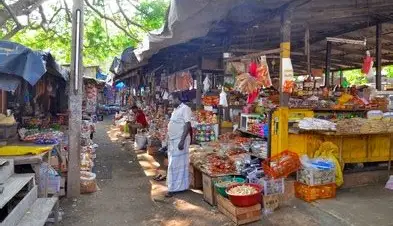 Cultural performances